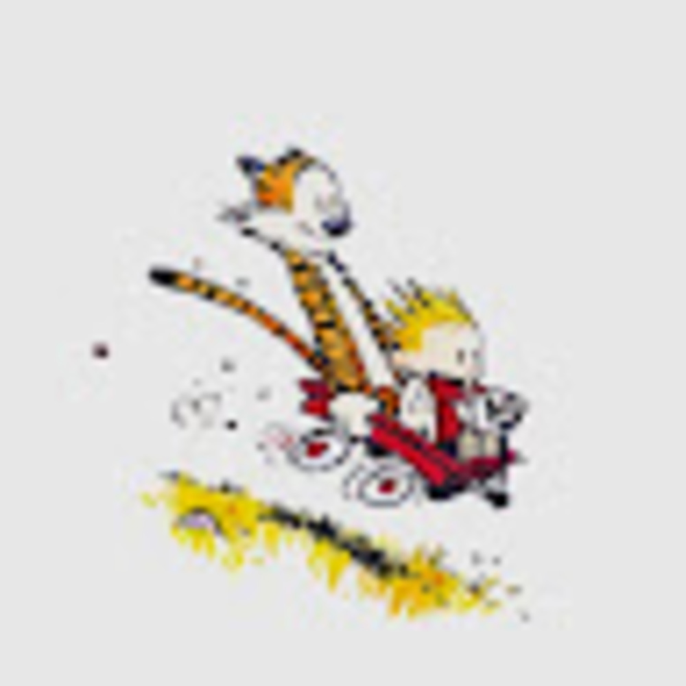 Meet your Posher, Emmett